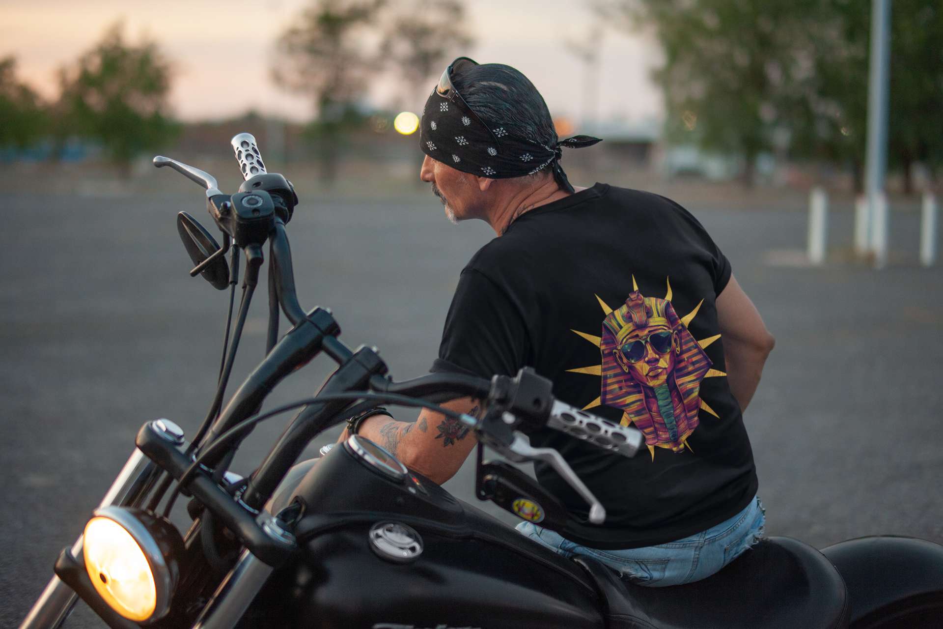 Shirt Reg - Sunburst Pharaoh