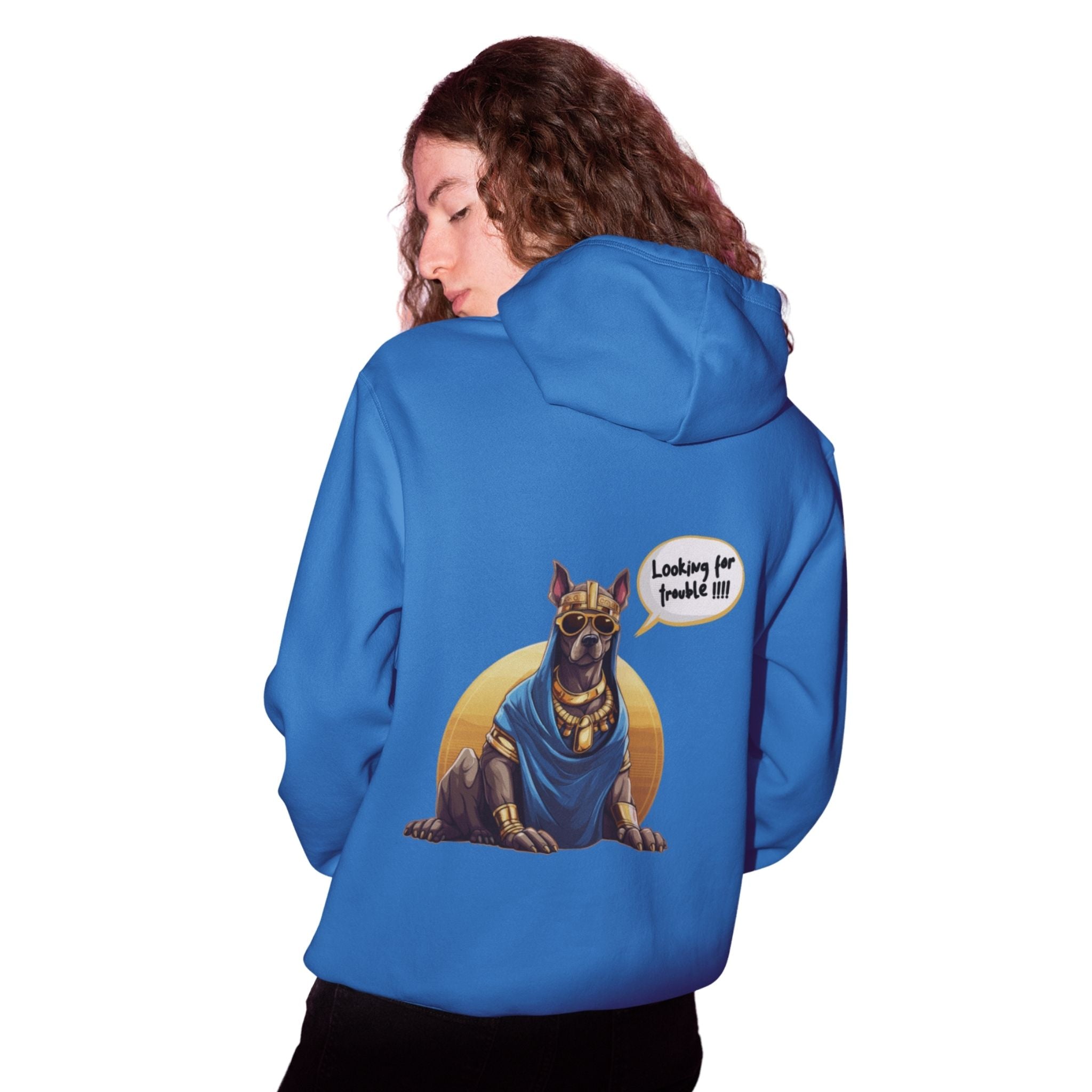 Hoodie - Trouble Seeker Anubis